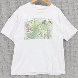 Vintage AMSEL Shirt Mens XL White Local Color In Adirondacks Graphic Art 1996